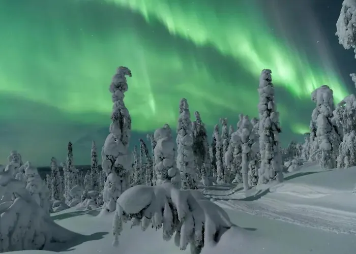 Sauna, Parking, 350mb, 65 Hdtv, Games, Dryer Rovaniemi